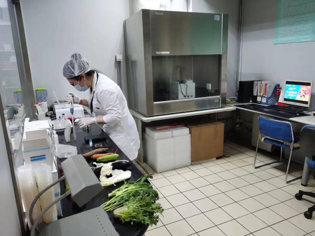 龙华山办事处食品检测实验室装修方案